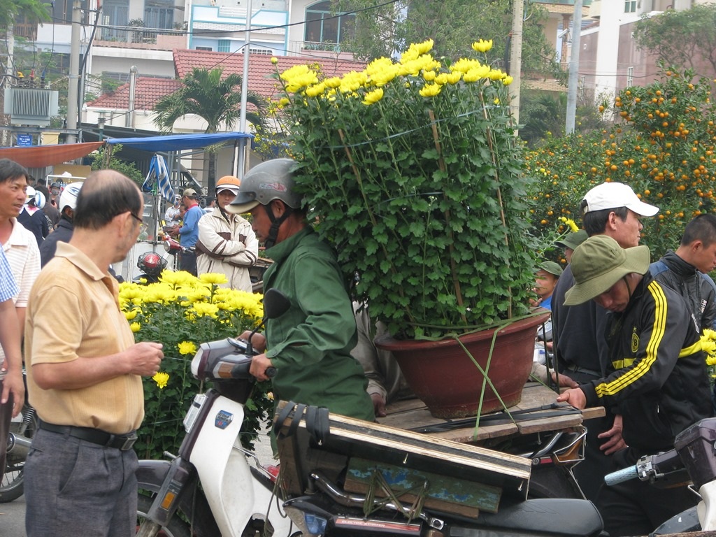 Xuân đang đến từng nhà