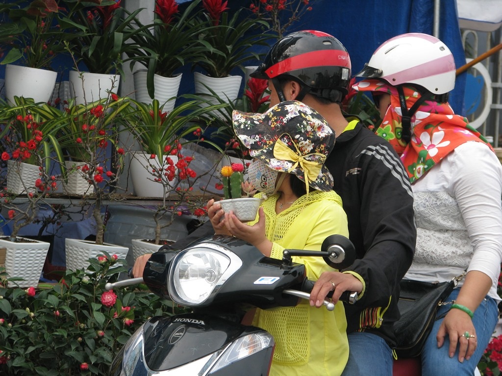 Em bé này đã mua được chậu xương rồng