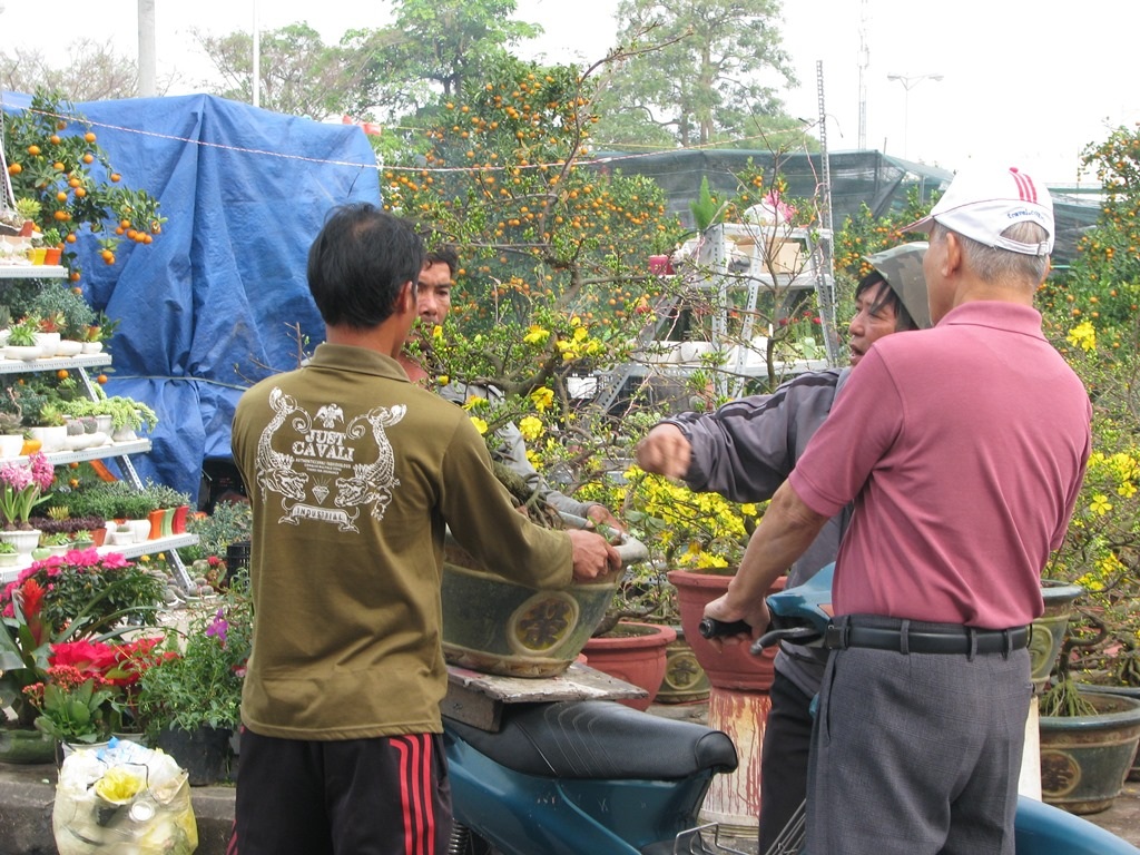 Xuân đang đến từng nhà