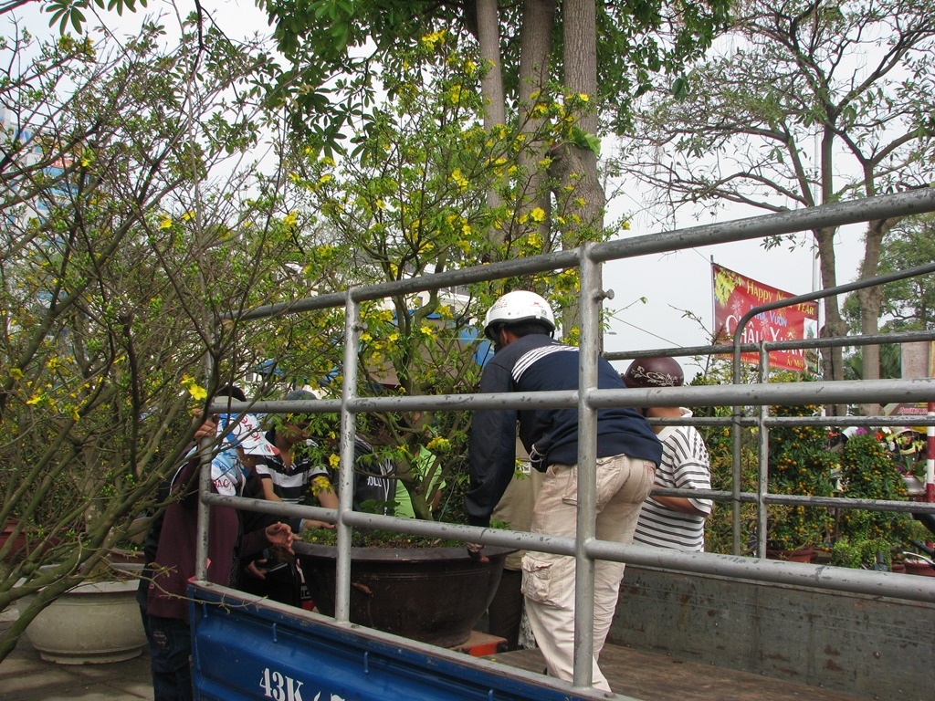 Xuân đang đến từng nhà
