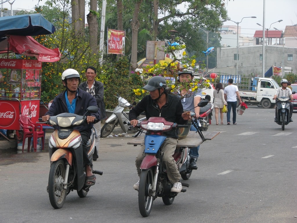 Chậu mai này cũng đã có chủ nhân