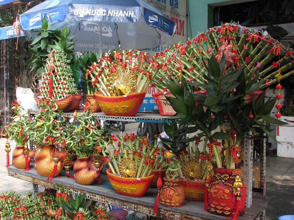 Những cây phát lộc độc đáo được nhập từ Đài Loan.