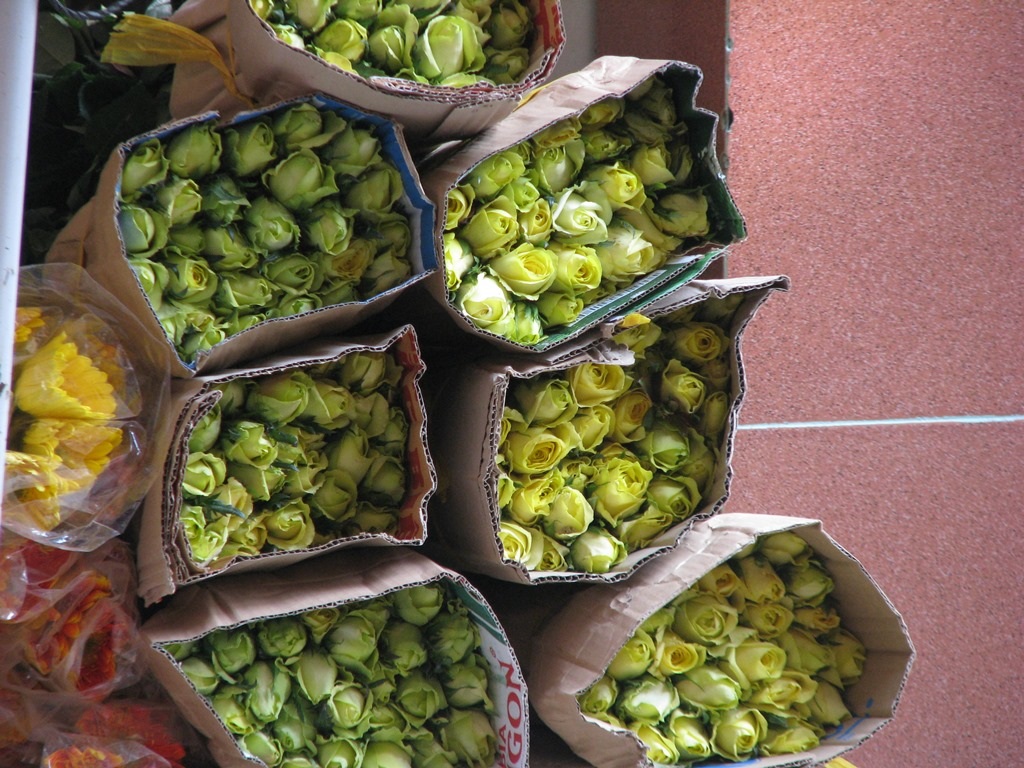 Tại chợ bán sĩ, hoa hồng vàng cũng đã có giá 300 ngàn đồng/bó (gồm 50 bông)