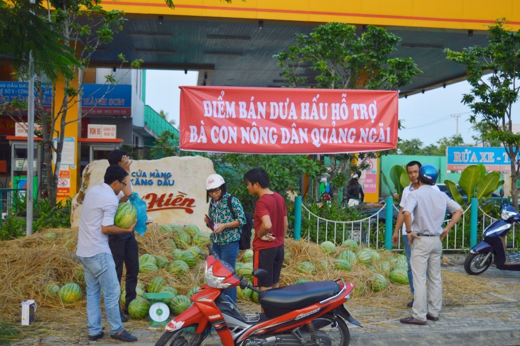 Mỗi một quả dưa được bán ra là một tấm lòng gửi đến bà con trồng dưa.