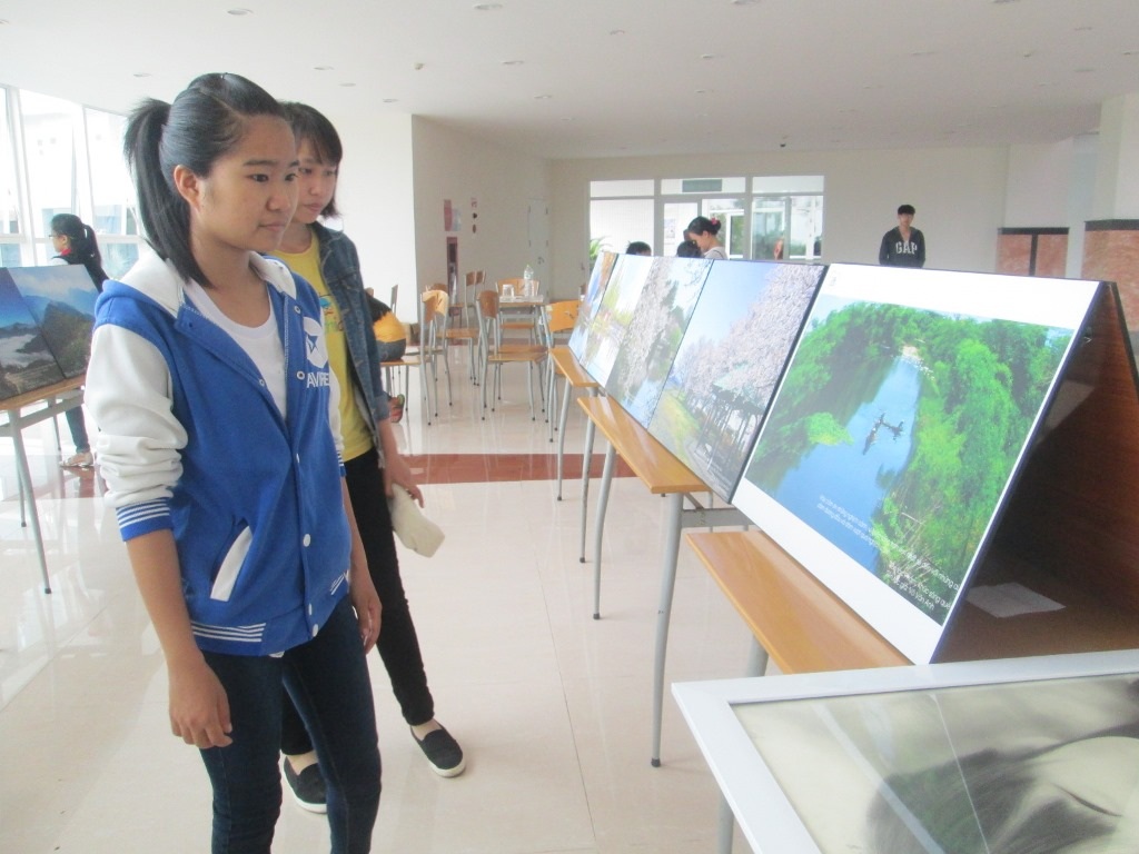 Những bức tranh được đặt tại Bệnh viện Ung thư Đà Nẵng