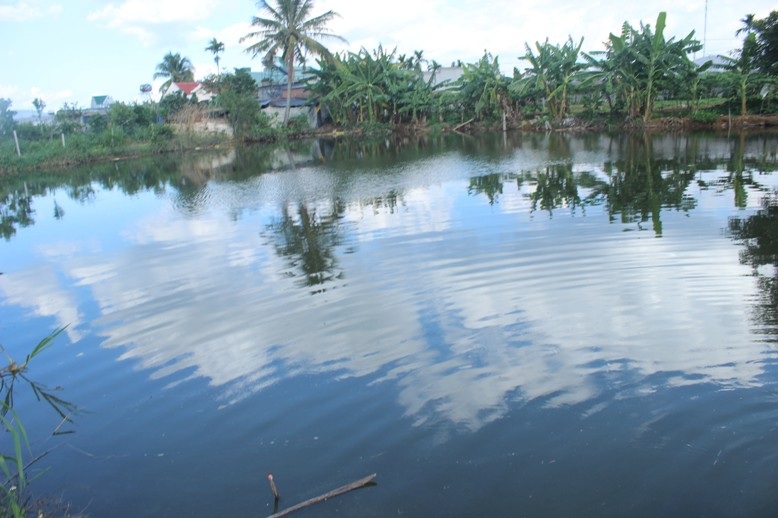 Hầu hết các ao hồ trong xóm nguồn nước đều bị ô nhiễm