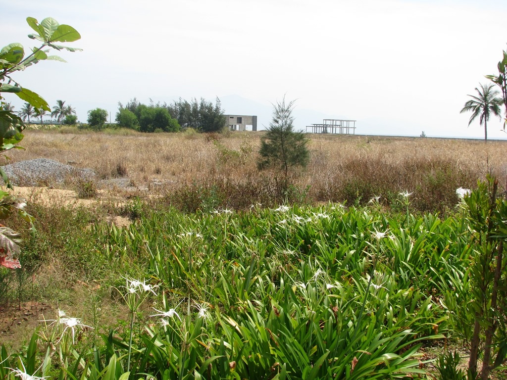 Tuy nhiên, cũng chỉ cắm cọc lên rồi bỏ đó