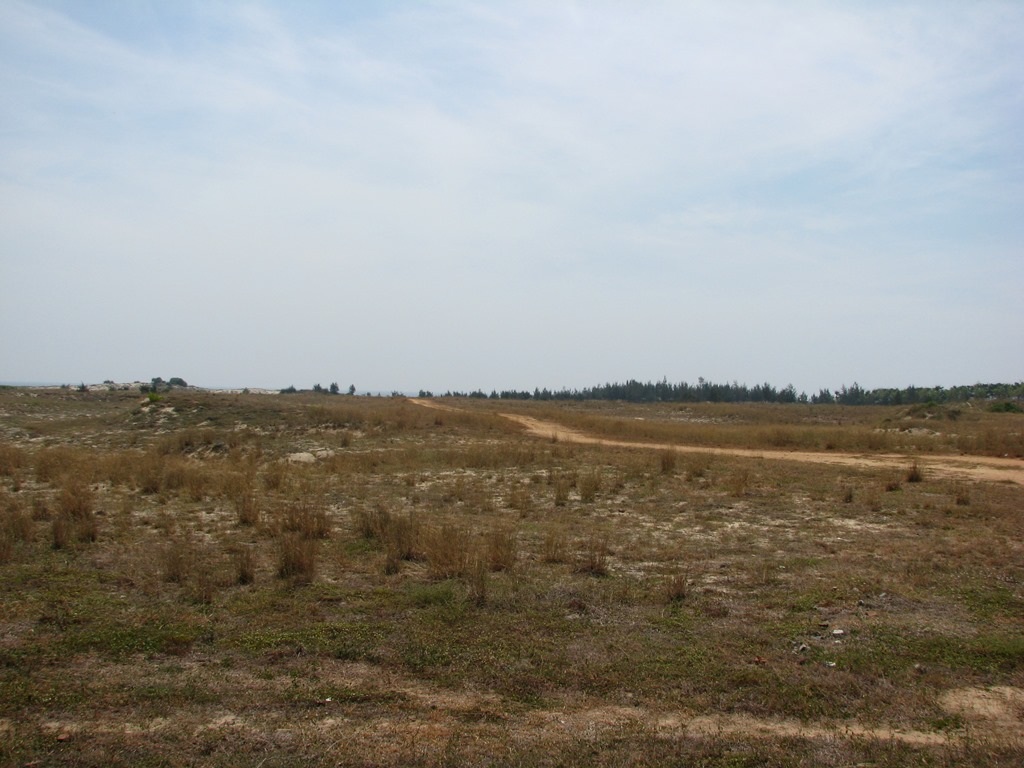 Còn bên trong là một bãi đất trống chưa có gì cả