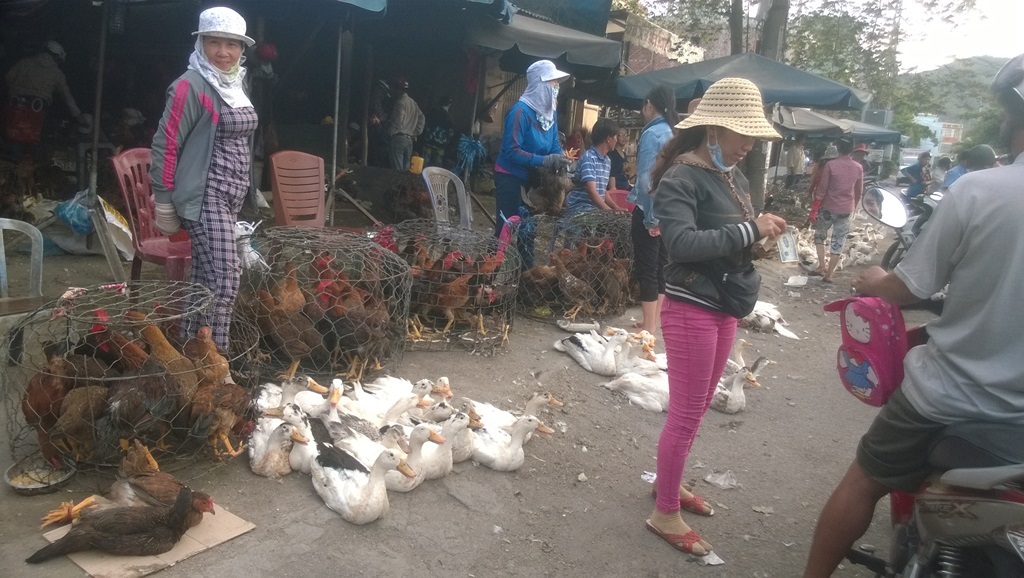 Bánh ú tro, trái cây đắt hàng nhờ Tết Đoan Ngọ - 4 Thịt vịt được bày bán nhiều nhưng sức mua chưa mạnh