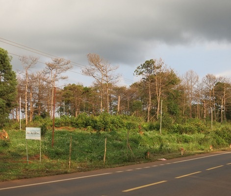 Thửa đất nằm sát quốc lộ được huyện đề xuất cấp cho vợ chồng ông Sơn