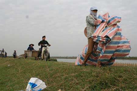 Người dân chuẩn bị vật liệu, lều bạt để ra đê ở