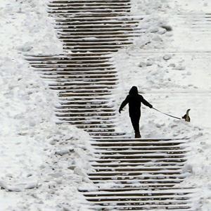 Giá lạnh âm hàng chục độ khiến hơn 200 người thiệt mạng ở châu Âu - 1 Giá lạnh âm hàng chục độ khiến hơn 200 người thiệt mạng ở châu Âu - 1