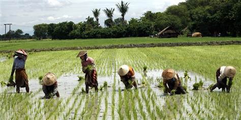 Myanmar "trải thảm đỏ" đón các nhà đầu tư nước ngoài  - 1