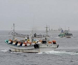 Hàn Quốc bắt giữ một tàu cá Triều Tiên - 1 Hàn Quốc tăng cường tuần tra ở vùng hải giới sau vụ bắt giữ tàu cá Triều Tiên.