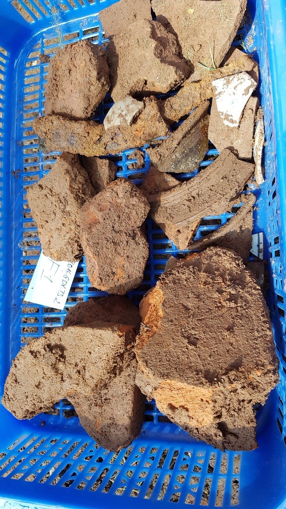 Phát hiện thêm nồi đất, dĩa đất, gạch cổ tại hố thám sát tìm dấu tích vua Quang Trung - 15 Gạch, đồ nung tại hố số 2