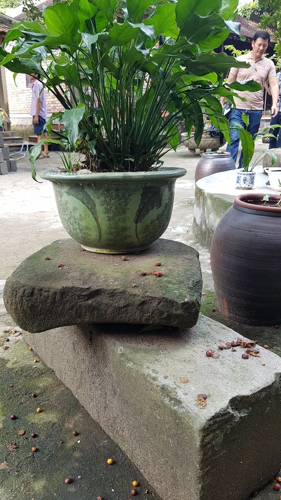 Kỳ 4: Ly kỳ câu chuyện đi tìm dấu tích Cung điện Đan Dương - 25 Dấu vết các đá tảng lớn