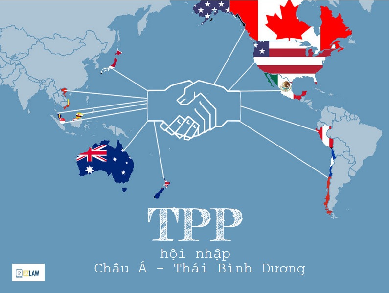 Vào TPP: Điện, xăng dầu, vận tải...chịu áp lực cải cách mạnh nhất - 1 Vào TPP: Điện, xăng dầu, vận tải...chịu áp lực cải cách mạnh nhất - 1