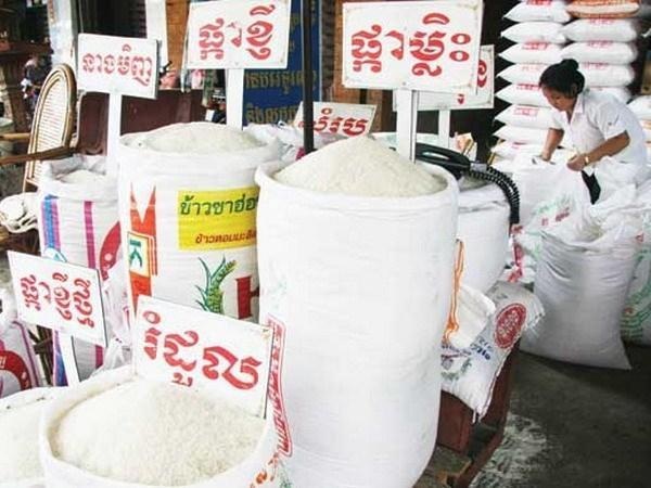 Nguyên nhân nào khiến gạo Việt đi trước nhưng lại về sau Campuchia?