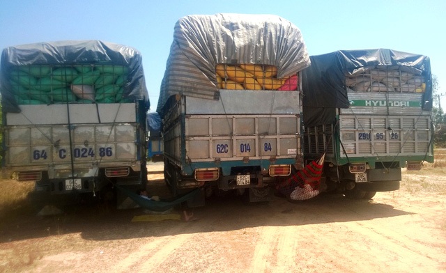 Phạt 20 tỷ đồng xe vi phạm tải trọng trong 1 tháng - 1 Tình trạng xe chở quá tải sẽ được siết chặt để xử lý dứt điểm trong thời gian tới (ảnh minh họa: Xuân Hinh)