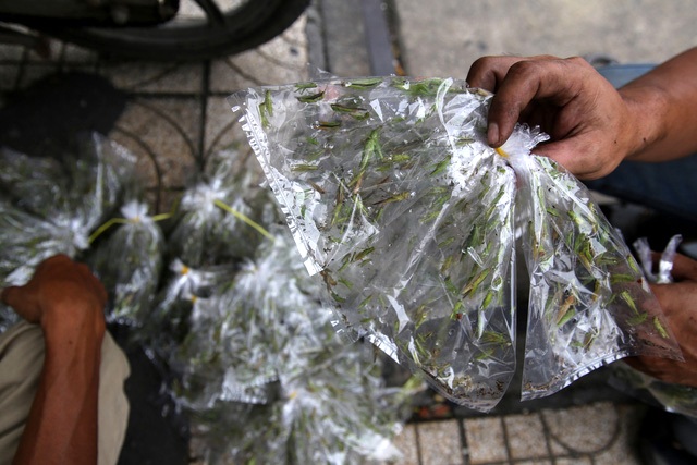 Cào cào được bày bán tại chợ côn trung trên địa bàn quận 5 - Ảnh Nguyễn Quang.