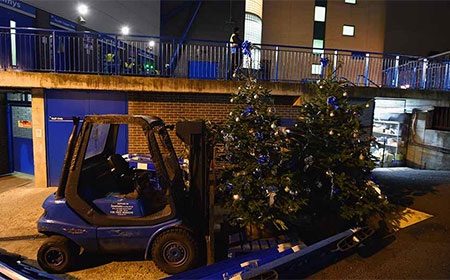 Đội chủ nhà bận rộn chuẩn bị cho lễ giáng sinh sắp tới