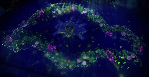 Màn múa giới thiệu về con người đất nước Singapore