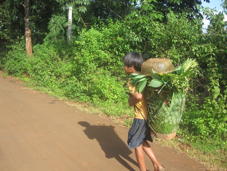 Theo chân những đứa trẻ “săn” cua đồng mùa mưa - 3 Theo chân những đứa trẻ “săn” cua đồng mùa mưa - 3