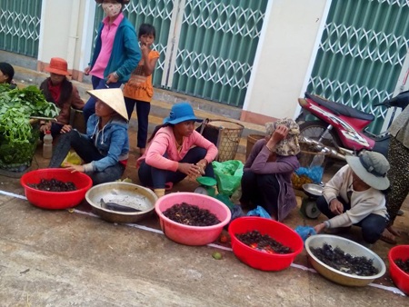 Theo chân những đứa trẻ “săn” cua đồng mùa mưa - 10 Theo chân những đứa trẻ “săn” cua đồng mùa mưa - 10