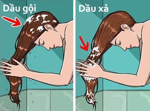 Những sai lầm khi chăm sóc tóc và cách khắc phục - 4 Sử dụng dầu gội và dầu xả đúng cách