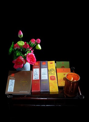 CEO Phụng Nghi và một khát vọng tinh hoa - 2 CEO Phụng Nghi và một khát vọng tinh hoa - 2