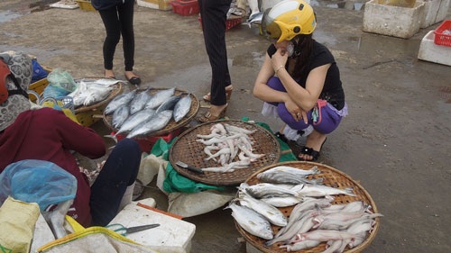 Đi chợ cá ... đầu Xuân - 1 Đi chợ cá ... đầu Xuân