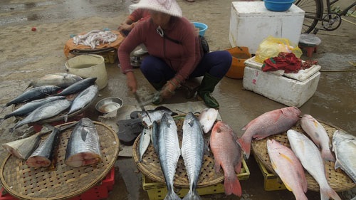 Đi chợ cá ... đầu Xuân - 3 Đi chợ cá ... đầu Xuân