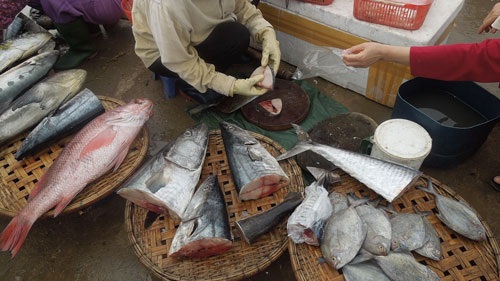 Đi chợ cá ... đầu Xuân - 5 Đi chợ cá ... đầu Xuân