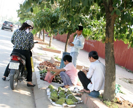 Các loại quả giải nhiệt như bơ, mãng cầu và chanh leo... được nhiều người dân ưu chuộng.