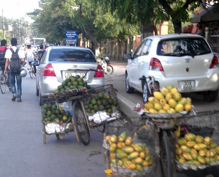 Xoài có giá từ 15 nghìn đồng/kg, cam Sài Gòn chính hiệu cũng chỉ 25.000 đồng/kg.