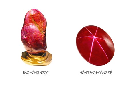 Khám phá 7 bảo vật và cây Thiên Kim Bách Ngọc trị giá 2 triệu đô la Mỹ - 3 Khám phá 7 bảo vật và cây Thiên Kim Bách Ngọc trị giá 2 triệu USD