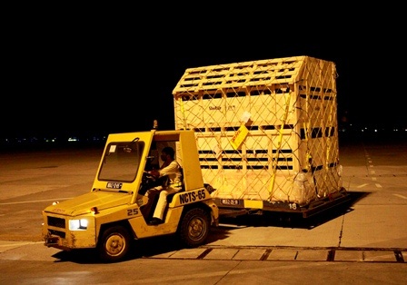 Vinamilk nhập bò Úc để tăng “cung” sữa tươi cho thị trường nội địa - 2 Vinamilk nhập bò Úc để tăng “cung” sữa tươi cho thị trường nội địa