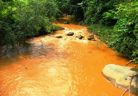 Dòng nước bị đầu độc khiến người dân bức xúc.