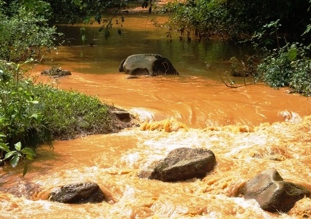 Dòng nước bị đầu độc khiến người dân bức xúc.