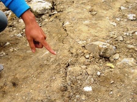 Xuất hiện vết nứt trên bề mặt san lấp.