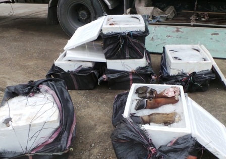 Toàn bộ số hàng nêu trên không rõ nguồn gốc đang được vận chuyển đi tiêu thụ.