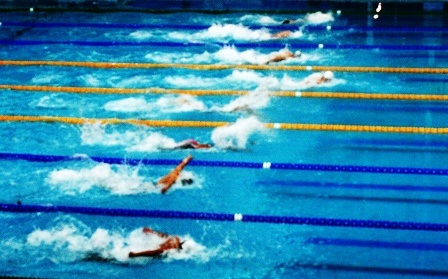 Nội dung 50m bướm nam, “rái cá” sông Hàn, Hoàng Quý Phước đoàn Đà Nẵng dành HCV.