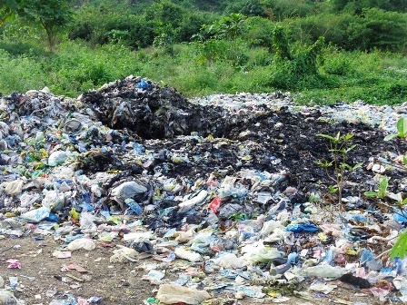 Quy trình xử lý chỉ là đốt nham nhở.