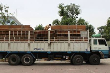 Xe tải chở gỗ quá tải 300%.