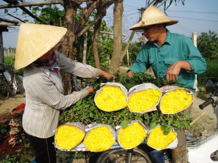  Hoa nở sớm đươc vận chuyển đem bán phục vụ thị trường ngày giáp Tết.