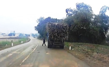 Tài xế lập tức cho xe dừng lại sau khi tai nạn xảy ra.