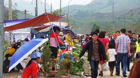 Mua lộc về cầu may trong năm mới.