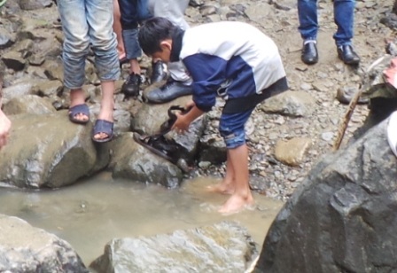 Nhiều người thiếu ý thức rửa cả giày ở khu vực thác nước.