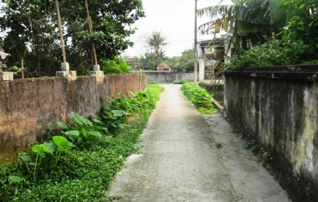  Con đường liên thông là ngõ đi chung của gia đình bà Mịch, ông San và ông Đài.