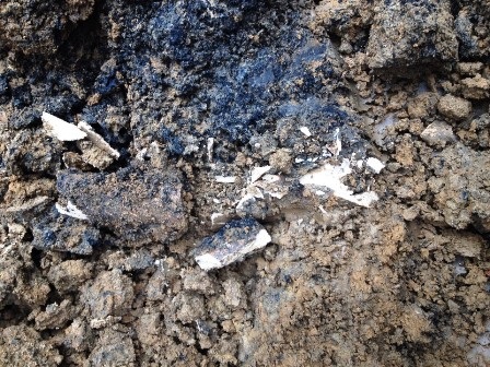 Những mẩu xương được cho là xương người 